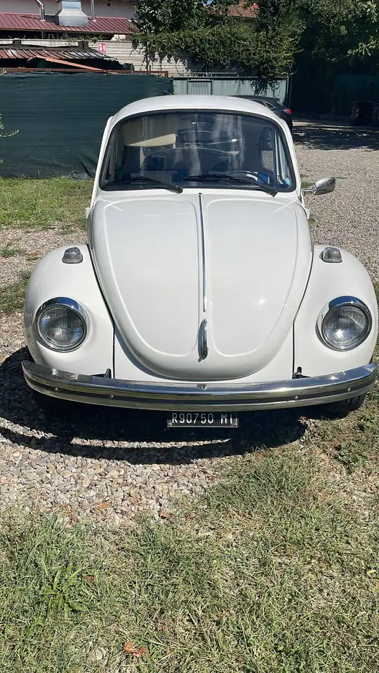 Volkswagen MAGGIOLONE, foto 2
