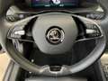 Skoda Superb Combi Style 2.0 TDI Standheizung Blau - thumbnail 19