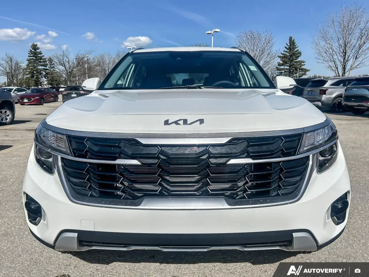 Kia Seltos снимка Kia Seltos