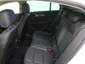 Opel Insignia Grand Sport 1.6 Turbo 200PK Business Executive | E Wit - thumbnail 12