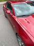 Chevrolet Camaro Turbo Rot - thumbnail 10