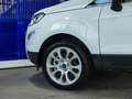 Ford EcoSport Titanium 1,0l Ecoboost BLIS,Navi,PDC Blanco - thumbnail 6
