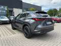 Lexus NX 350h 4x4 Overtrail *PANO*HUD* Grau - thumbnail 3