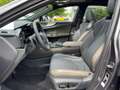 Lexus NX 350h 4x4 Overtrail *PANO*HUD* Grau - thumbnail 8