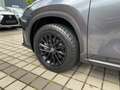 Lexus NX 350h 4x4 Overtrail *PANO*HUD* Grau - thumbnail 6
