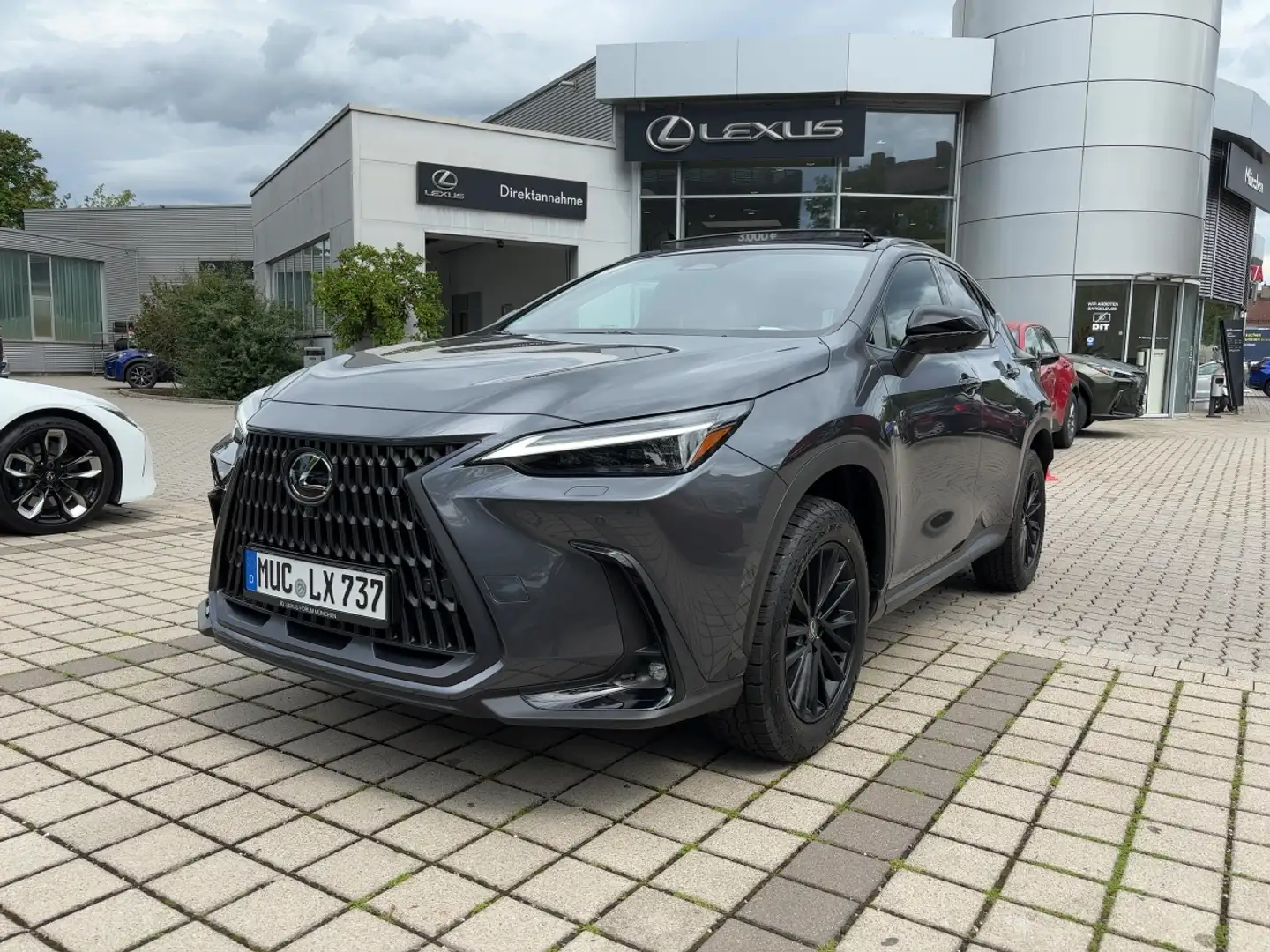 Lexus NX 350h 4x4 Overtrail *PANO*HUD* Grau - 1