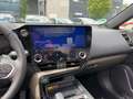 Lexus NX 350h 4x4 Overtrail *PANO*HUD* Grau - thumbnail 12