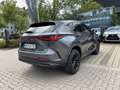 Lexus NX 350h 4x4 Overtrail *PANO*HUD* Grau - thumbnail 4