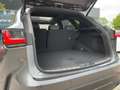 Lexus NX 350h 4x4 Overtrail *PANO*HUD* Grau - thumbnail 7