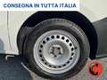 Fiat Doblo 1.4 N.P(ALLESTITO EX RETE GAS-PC-TN)CRUISE-SENSORI Blanc - thumbnail 19
