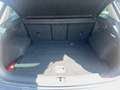 Volkswagen Tiguan 1.5 TSI DSG Life Grau - thumbnail 12