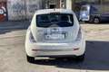 Lancia Ypsilon Ypsilon 1.2 69 CV Elle Bianco - thumbnail 6