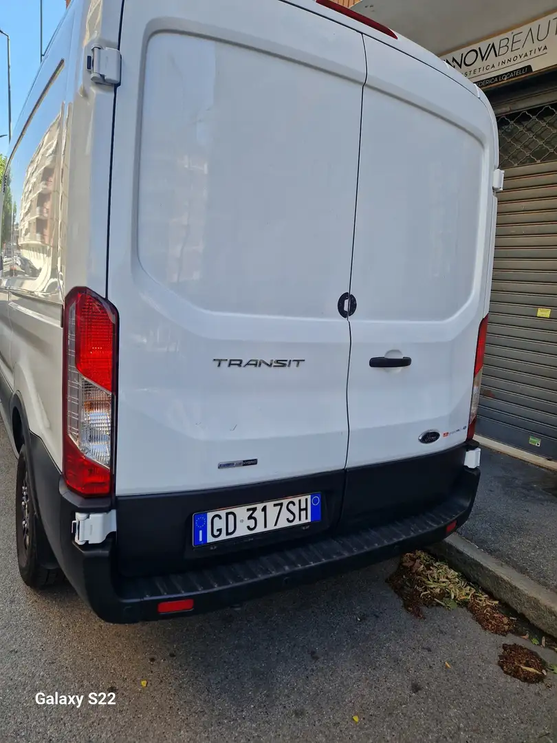 Ford Transit trail - 2