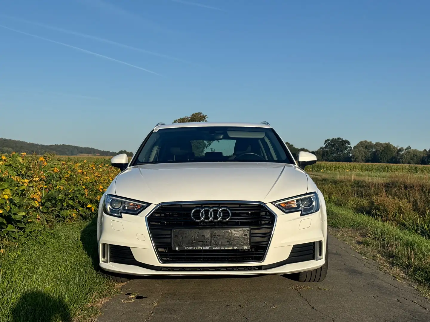 Audi A3 A3 1,6 TDI sport sport Weiß - 2