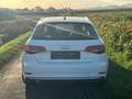 Audi A3 A3 1,6 TDI sport sport Weiß - thumbnail 3