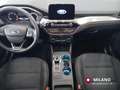 Ford Kuga 1.5 TDCI 120 CV S&S 2WD Powershift TITANIUM Blanco - thumbnail 12