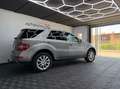 Mercedes-Benz ML 350 350 V6 4-Matic 231 CV Grau - thumbnail 8