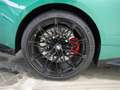 BMW M4 Compet. Compound GlasDach Leder Ha/Ka.19/20" Grün - thumbnail 6