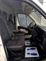 Peugeot Boxer Peugeot Boxer L3H2 Blanco - thumbnail 11