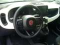 Fiat Panda Cross Pandina 1.0 FireFly Hybrid 5Posto Nuovo Mo Blu/Azzurro - thumbnail 15