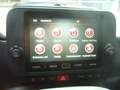 Fiat Panda Cross Pandina 1.0 FireFly Hybrid 5Posto Nuovo Mo Blu/Azzurro - thumbnail 23