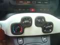 Fiat Panda Cross Pandina 1.0 FireFly Hybrid 5Posto Nuovo Mo Blu/Azzurro - thumbnail 22