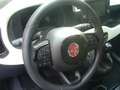 Fiat Panda Cross Pandina 1.0 FireFly Hybrid 5Posto Nuovo Mo Blu/Azzurro - thumbnail 19