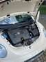Volkswagen New Beetle Cabriolet 1.6 United bis 29.7. - 1000€ Rabatt! Beige - thumbnail 13