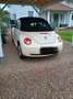 Volkswagen New Beetle Cabriolet 1.6 United Beige - thumbnail 3