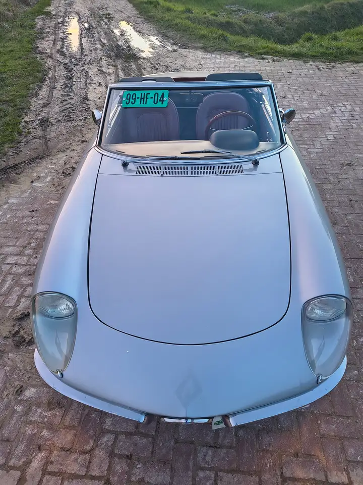 Alfa Romeo Spider Duetto 2000 conversie, foto 12