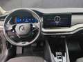 Skoda Octavia 4x4 Ambition TDI DSG Grau - thumbnail 7