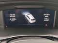 Skoda Octavia 4x4 Ambition TDI DSG Grau - thumbnail 9