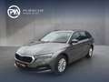 Skoda Octavia 4x4 Ambition TDI DSG Grau - thumbnail 1