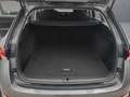 Skoda Octavia 4x4 Ambition TDI DSG Grau - thumbnail 14