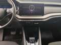 Skoda Octavia 4x4 Ambition TDI DSG Grau - thumbnail 11