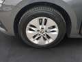 Skoda Octavia 4x4 Ambition TDI DSG Grau - thumbnail 16