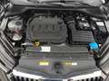 Skoda Octavia 4x4 Ambition TDI DSG Grau - thumbnail 15