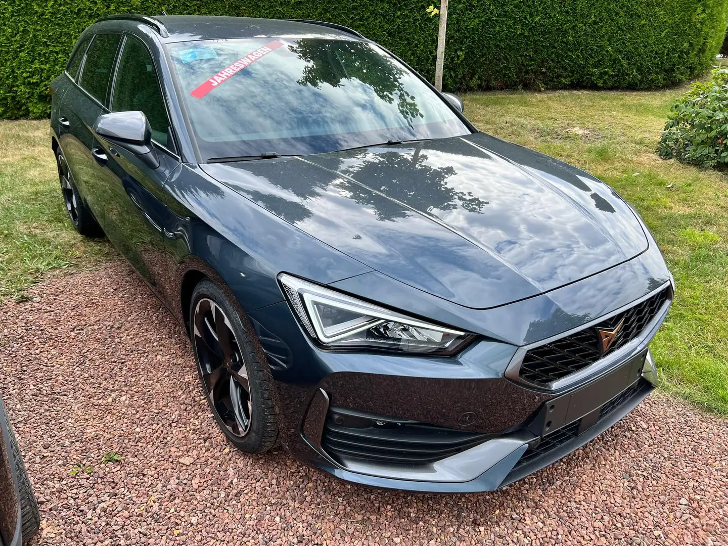 CUPRA Leon 1.5 eTSI DSG ACC|virt.Cock.|LED Grigio - 2