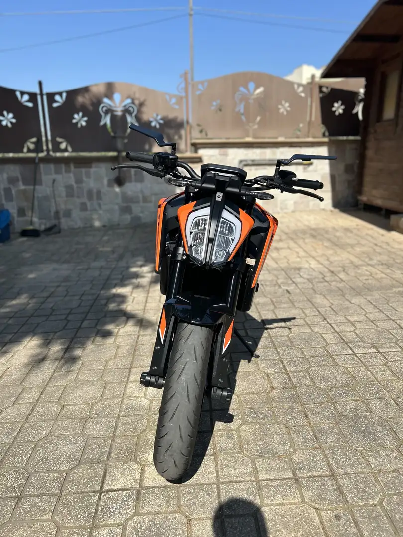 KTM 790 Duke Duke 790 2024 guidabile con A2 - 1