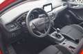 Ford Focus Cool & Connect Turnier Rot - thumbnail 15
