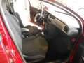 Citroen C3 1.4 HDi 70 Exclusive  OK NEOP. Rosso - thumbnail 9