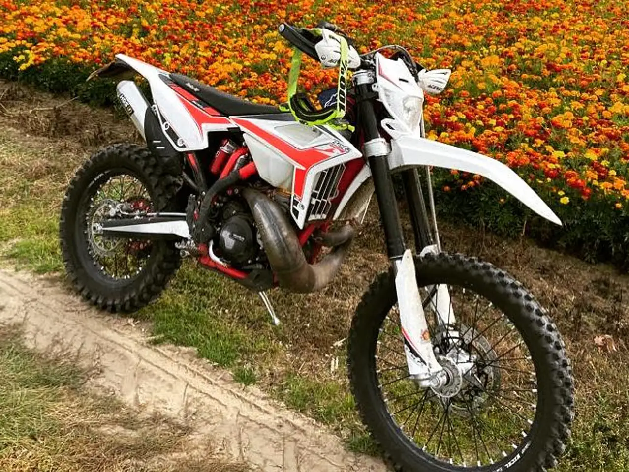 Beta RR 300