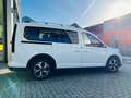 Ford Tourneo Connect 1.5 Ecoboost / Grand  / Active White - thumbnail 5