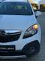 Opel Mokka Edition Klima PDC Sitzheiz. AHK Weiß - thumbnail 13