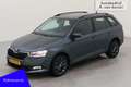 Skoda Fabia Combi 1.0 Business Edition Comfort + Travel I NL-a Gris - thumbnail 1