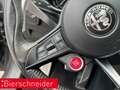Alfa Romeo Stelvio V6 2.9 Bi-Turbo AT8-Q4 Quadrifoglio XENON ACC HK-S Grau - thumbnail 12