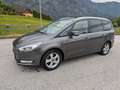 Ford Galaxy Galaxy 2,0 EcoBlue SCR AWD Titanium Aut. Titanium Grau - thumbnail 1