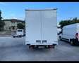 Iveco Iveco - IVECO Daily 35S14 2.3 HPT PL Cabinato (2 Wit - thumbnail 14
