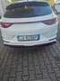 Kia ProCeed / pro_cee'd ProCeed III 2022 1.6 t-gdi GT 204cv dct Bianco - thumbnail 8