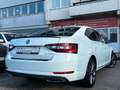 Skoda Superb Lim. *AUTOMATIK*ACC*AHK*MEMORY*PANO* Weiß - thumbnail 8